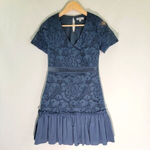 Two Sisters THE LABEL Gray Lace Bodice Party Dress Sz 4 Vneck Short Sleeves Line